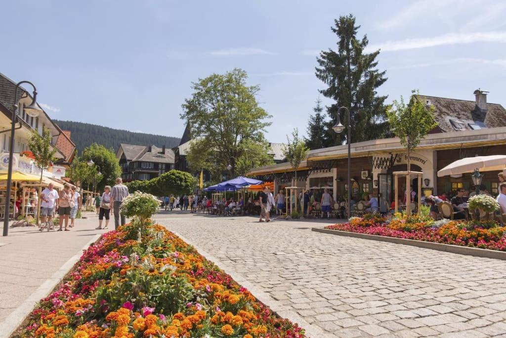 Sieben Tannen Titisee + Hochschwarzwald Card Appartement Buitenkant foto