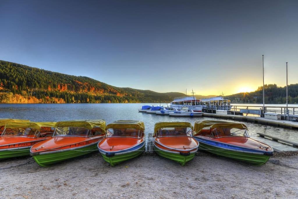 Sieben Tannen Titisee + Hochschwarzwald Card Appartement Buitenkant foto