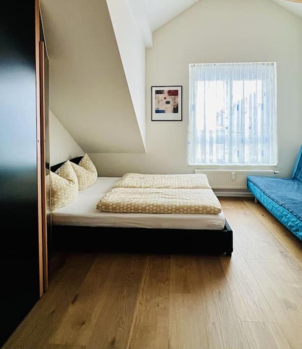 Sieben Tannen Titisee + Hochschwarzwald Card Appartement Buitenkant foto