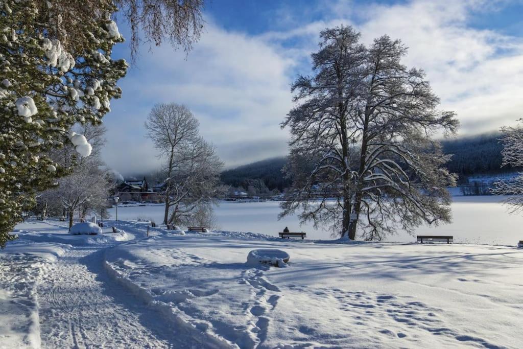 Sieben Tannen Titisee + Hochschwarzwald Card Appartement Buitenkant foto